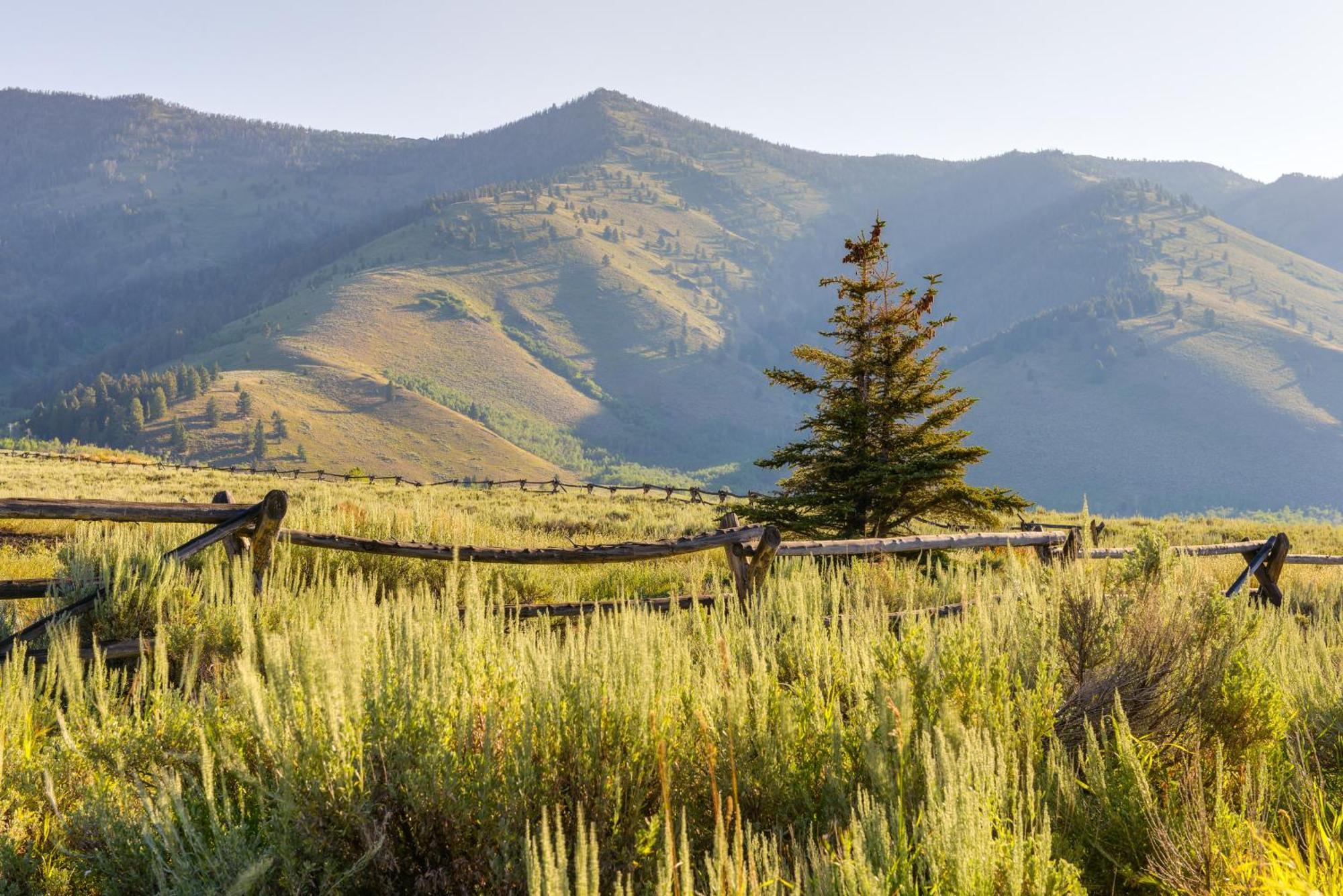 Cozy Island Park Cabin, 20 Mi To Yellowstone! Exterior foto