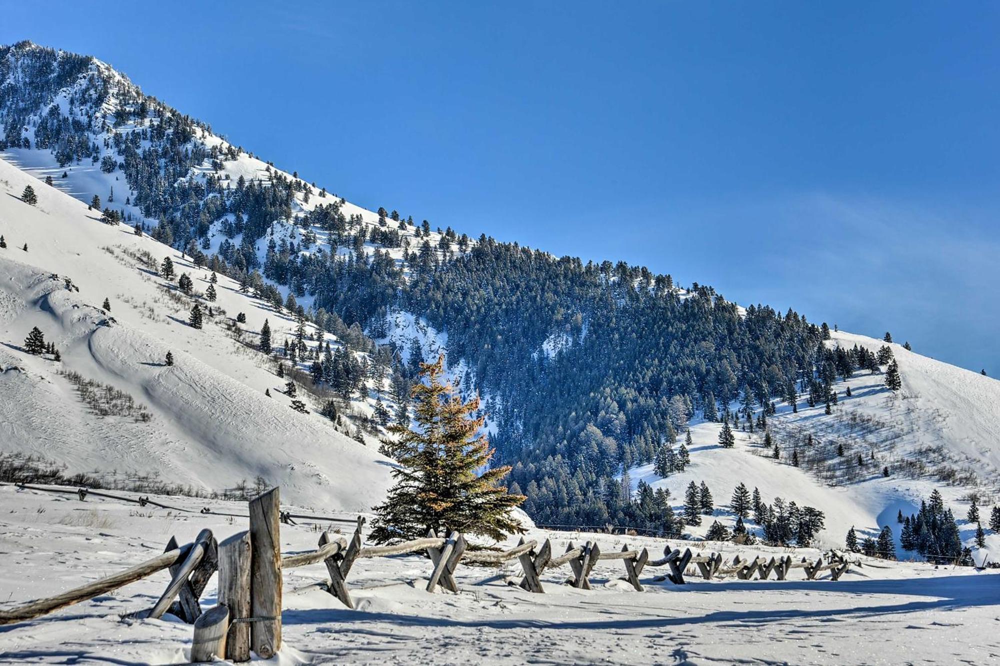 Cozy Island Park Cabin, 20 Mi To Yellowstone! Exterior foto